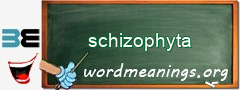 WordMeaning blackboard for schizophyta